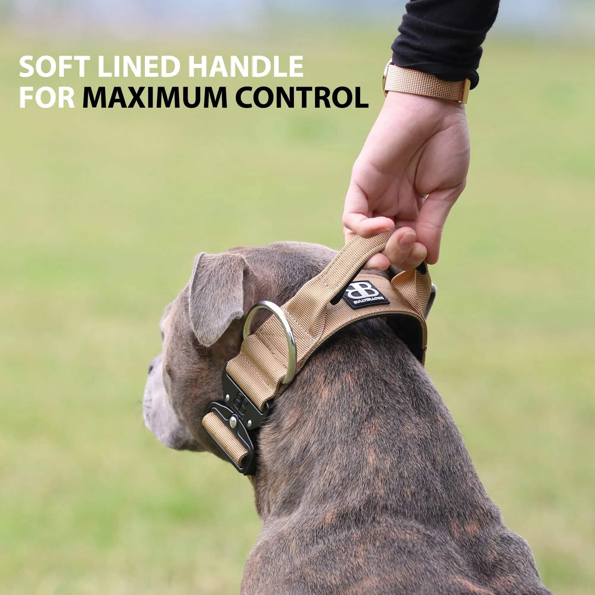 5cm Combat® Collar | With Handle & Secure Clip - Lightning