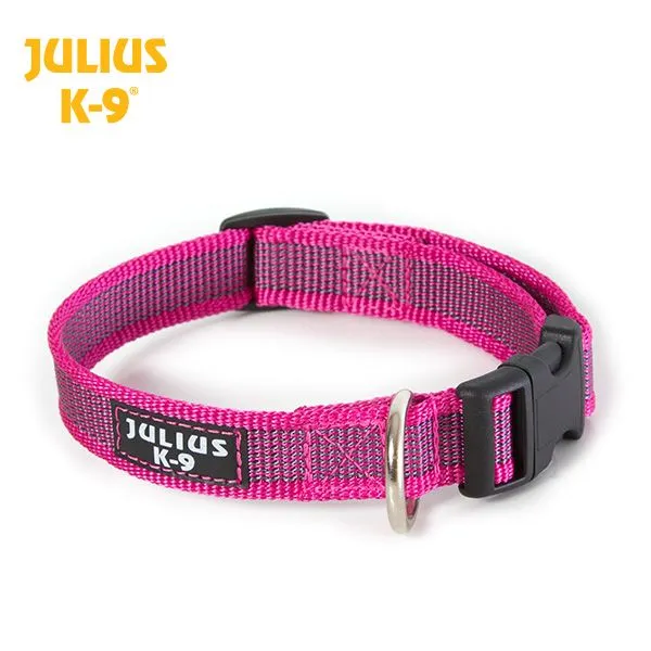 Colour & Gray® Webbed Dog Collars