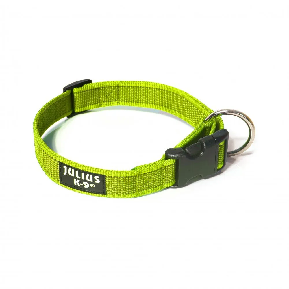 Colour & Gray® Webbed Dog Collars