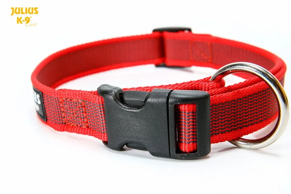 Colour & Gray® Webbed Dog Collars