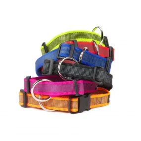 Colour & Gray® Webbed Dog Collars