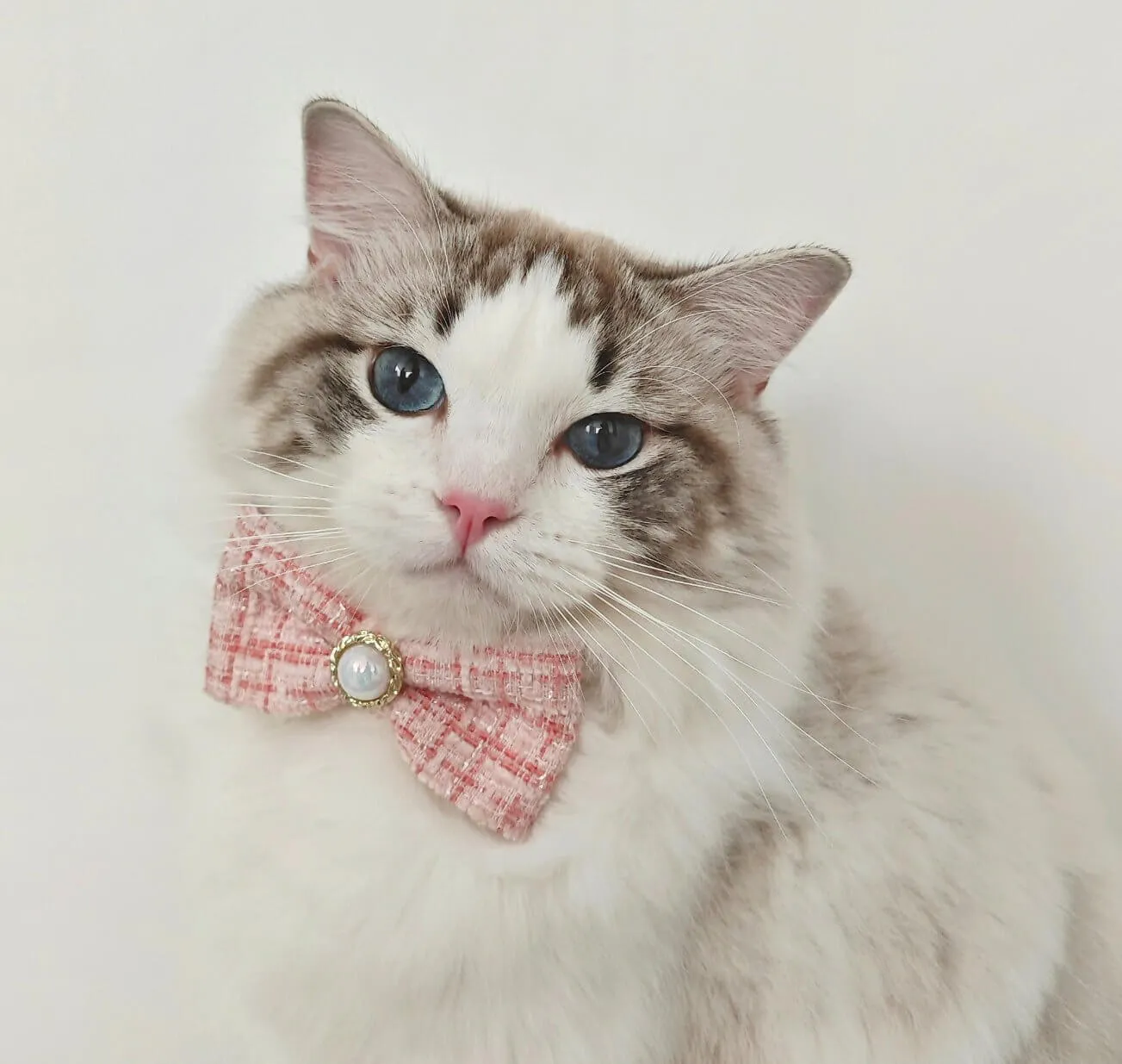 Pet Braided Plaid Collar Adjustable Breakaway with Vintage Pearl Bow Tie for Cats under 10kg