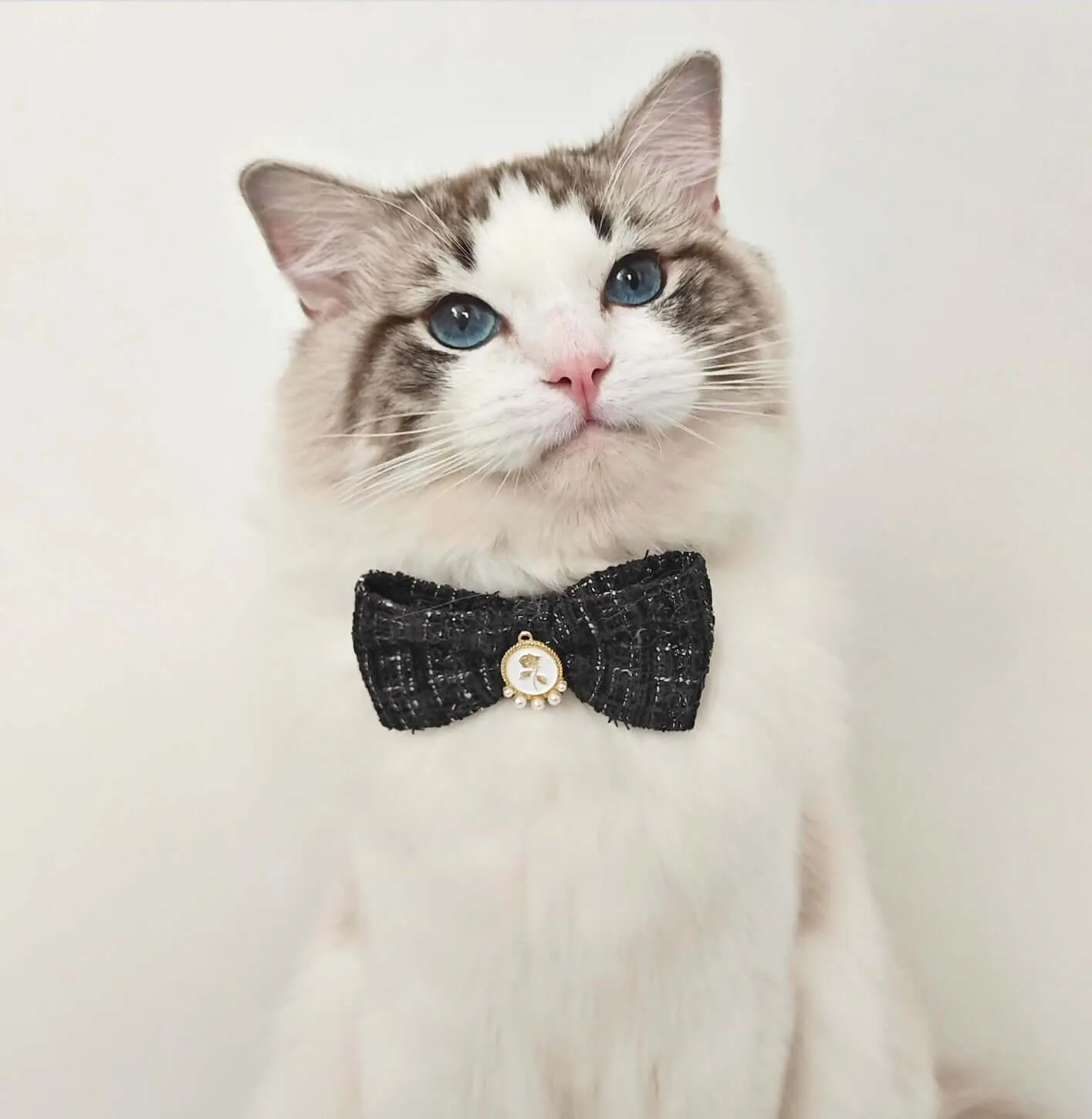 Pet Braided Plaid Collar Adjustable Breakaway with Vintage Pearl Bow Tie for Cats under 10kg