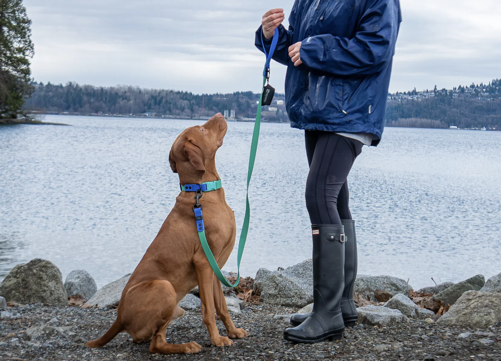 RC Pets Waterproof Collar Parakeet/Sapphire