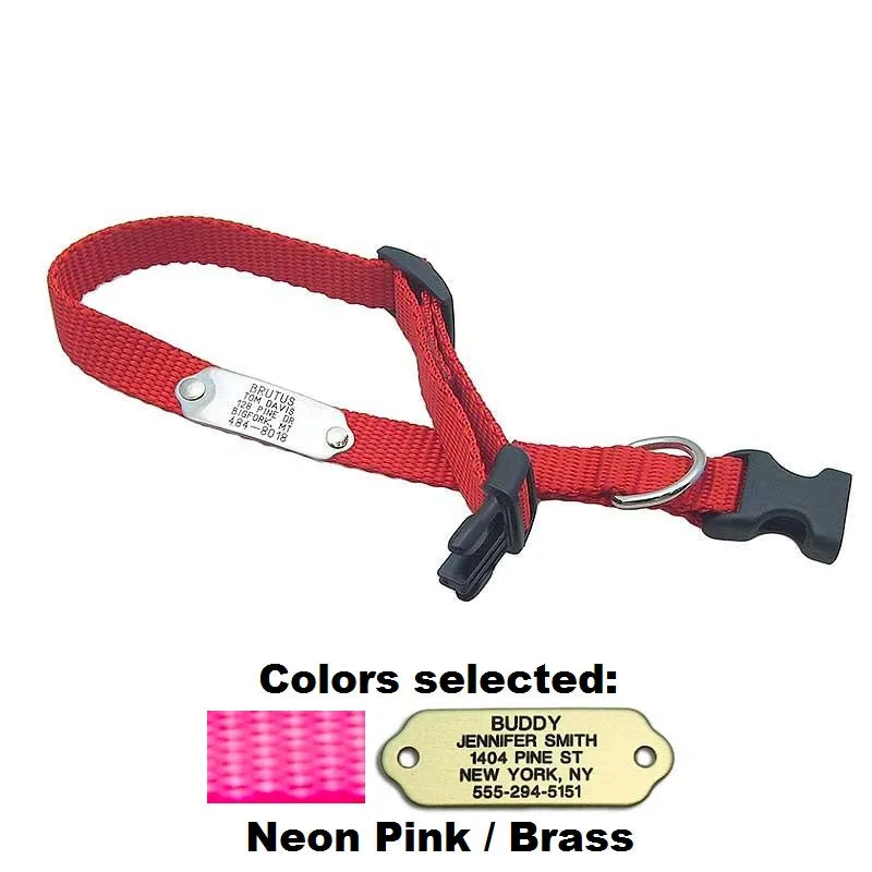 Rivet ID Collar for Dogs