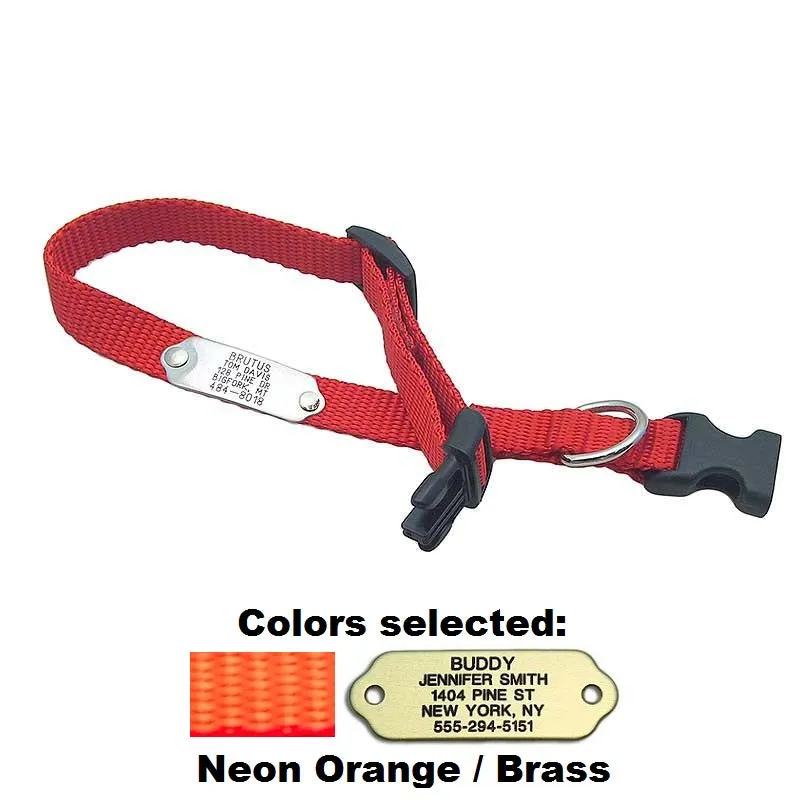 Rivet ID Collar for Dogs