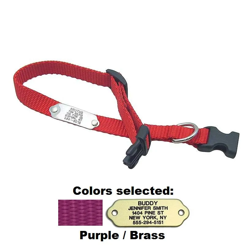 Rivet ID Collar for Dogs