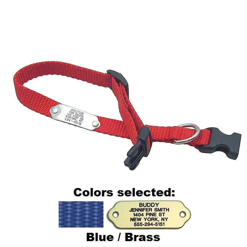 Rivet ID Collar for Dogs