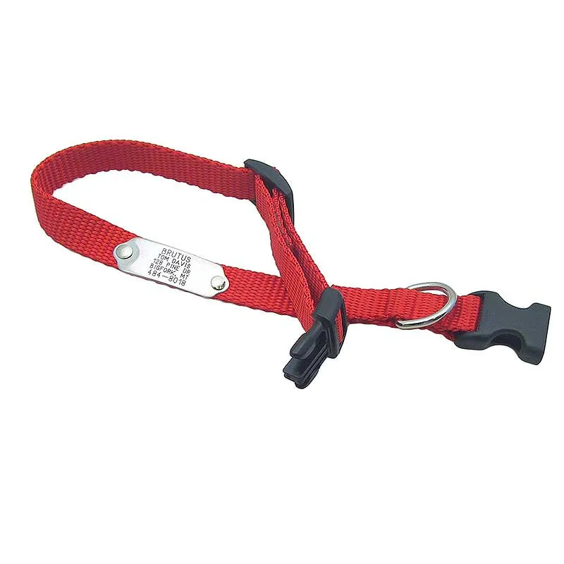 Rivet ID Collar for Dogs