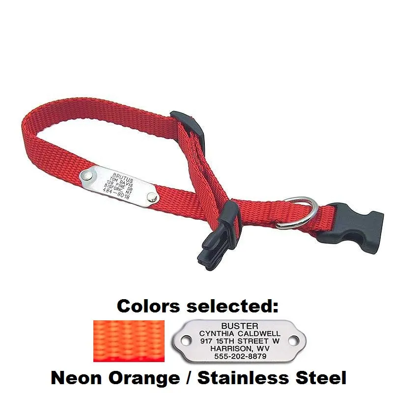 Rivet ID Collar for Dogs