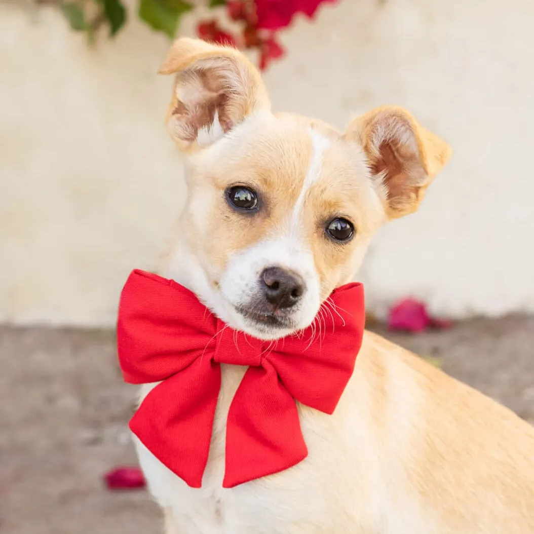 Ruby Lady Bow Collar