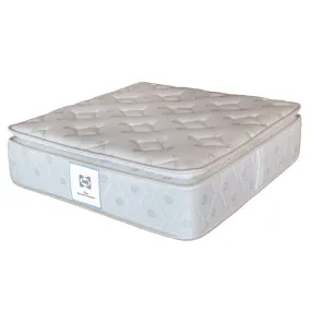 Sealy Firm Mattress