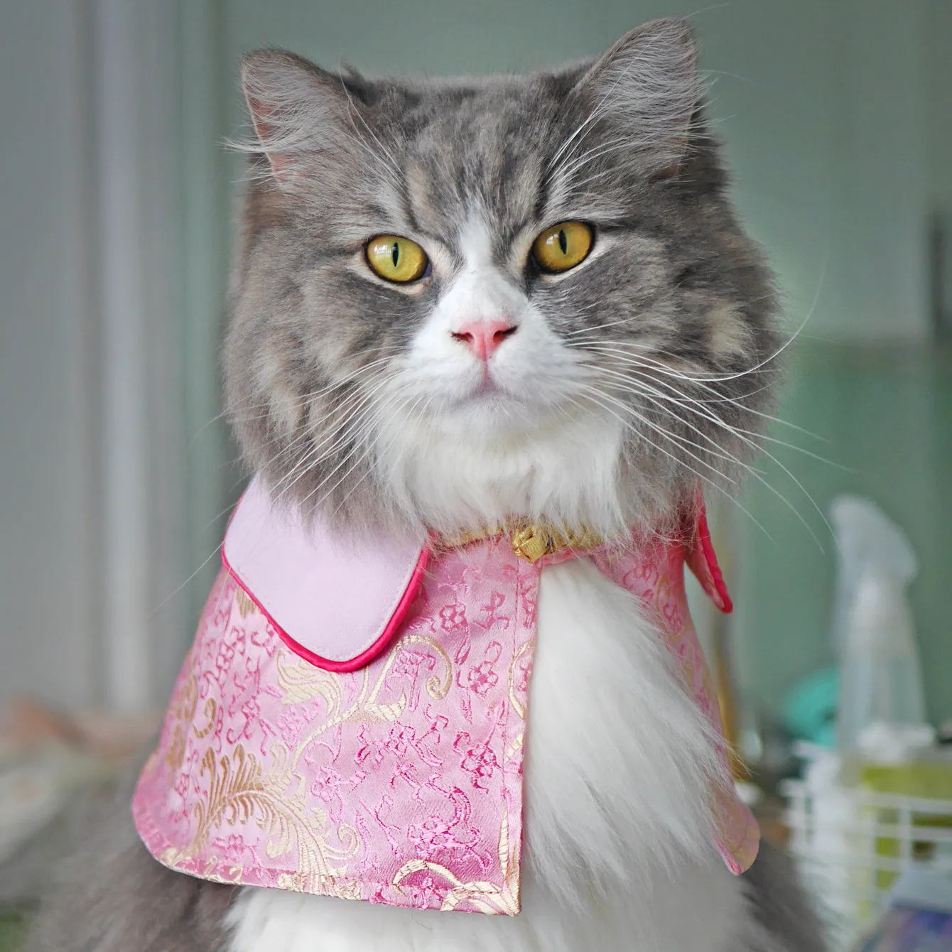 Spring Of Love in Golden Baby Pink CNY Cape