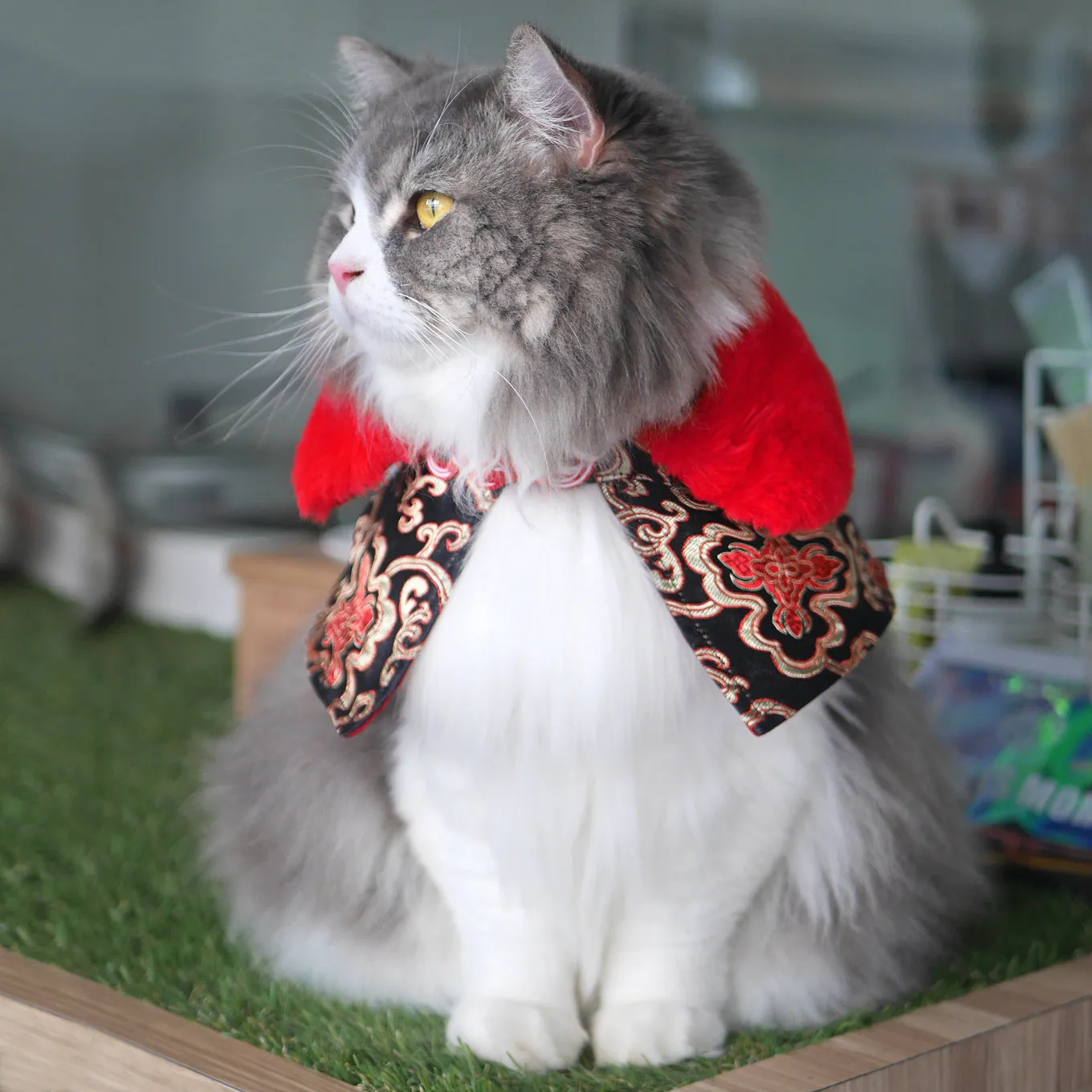 Spring Of Prosperity in Royal Scarlett CNY Cape with Faux Fur Collar