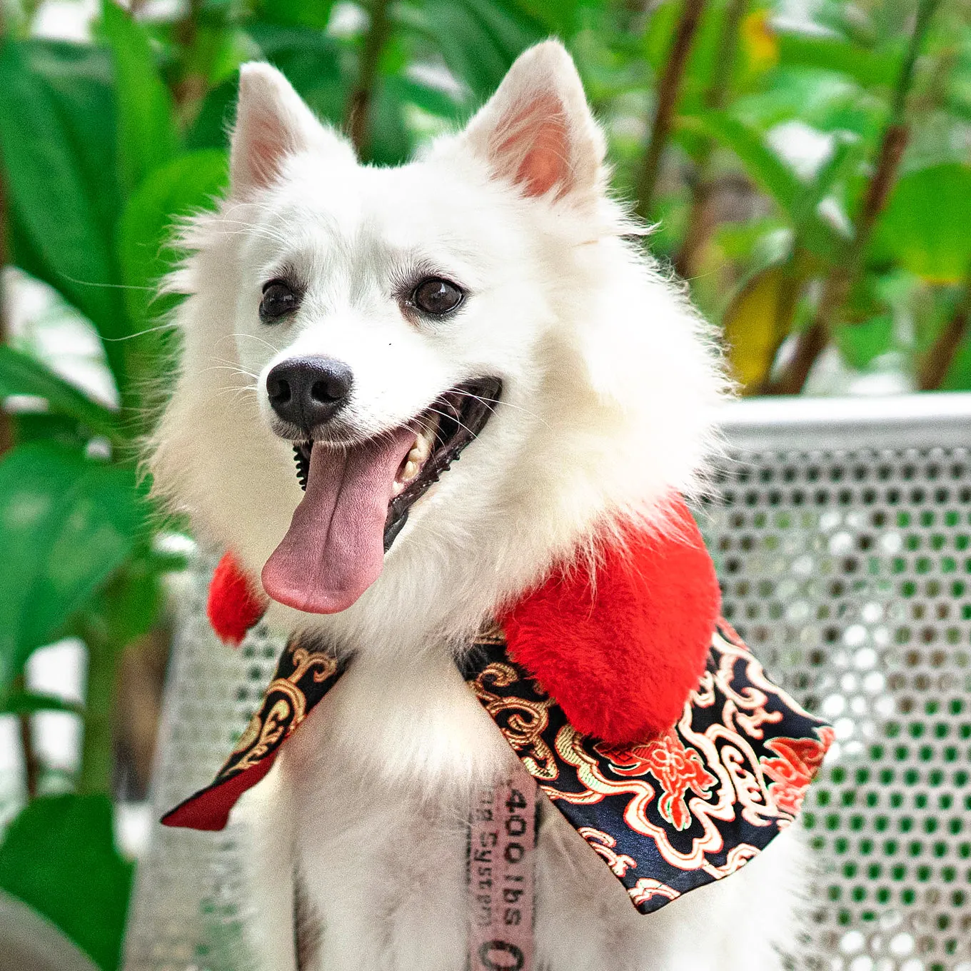 Spring Of Prosperity in Royal Scarlett CNY Cape with Faux Fur Collar