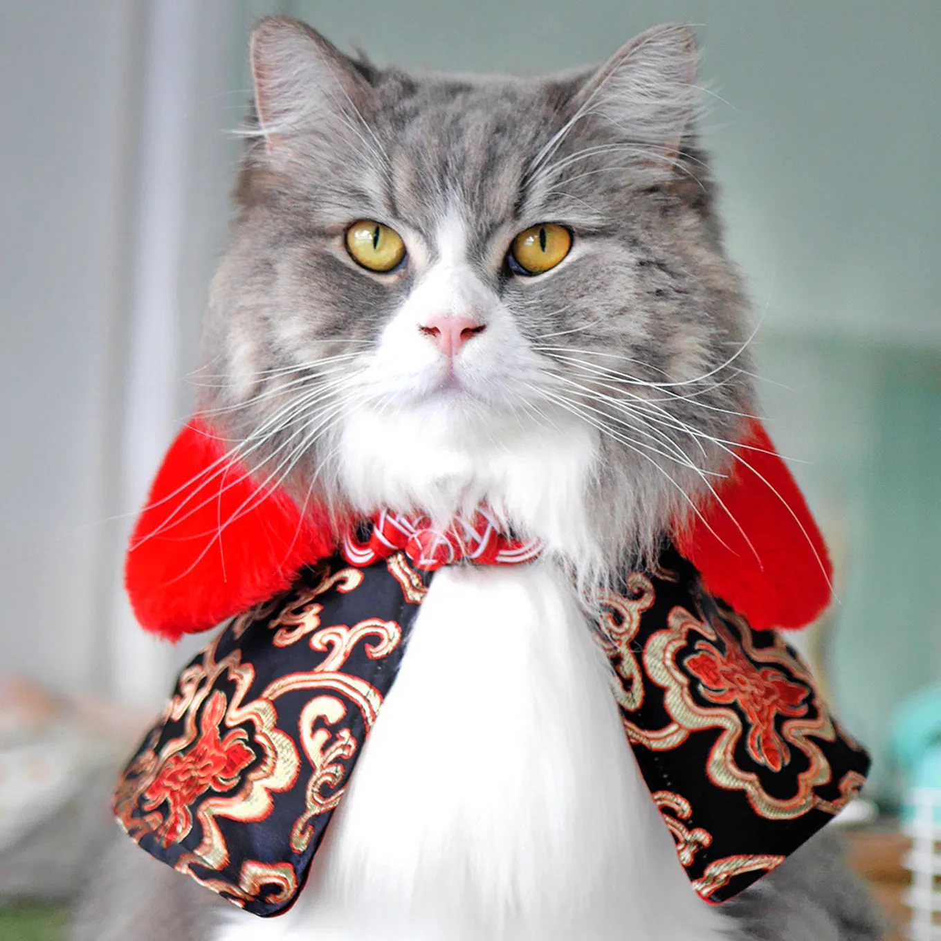 Spring Of Prosperity in Royal Scarlett CNY Cape with Faux Fur Collar