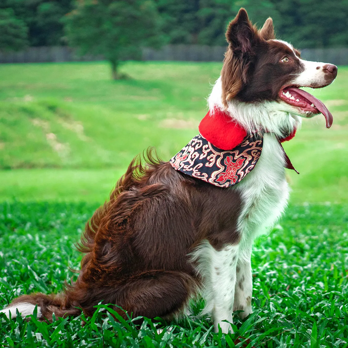 Spring Of Prosperity in Royal Scarlett CNY Cape with Faux Fur Collar